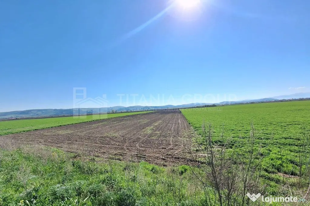 Teren extravilan, 8700 mp, pretabil agricultură sau inve...