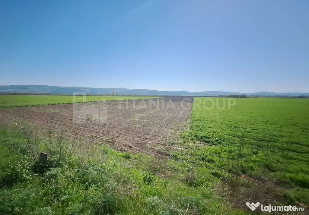 Teren extravilan, 8700 mp, pretabil agricultură sau inve...