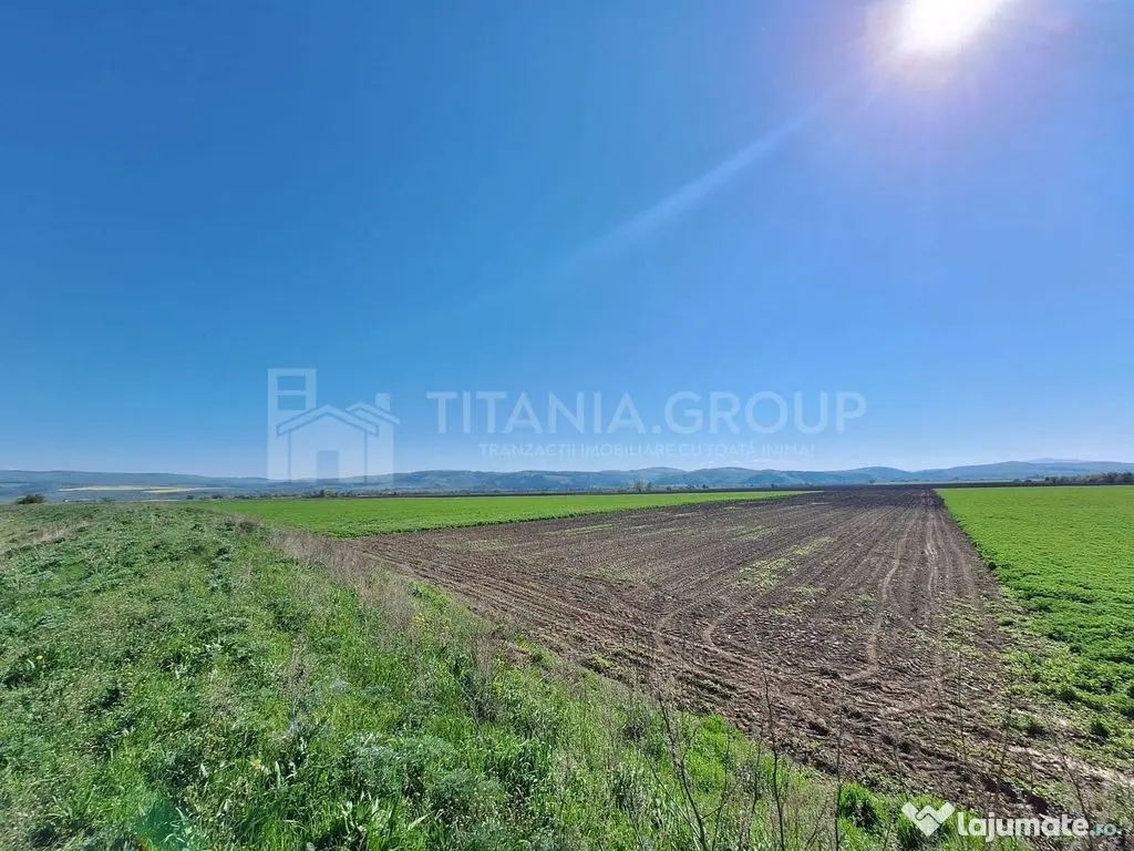 Teren extravilan, 8700 mp, pretabil agricultură sau inve...