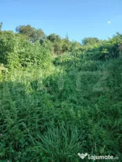 Teren intravilan de 1000mp in Ciurila cu plan de amplasament 