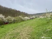 Teren intravilan Deva- Roci
