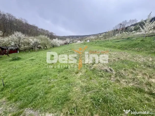 Teren intravilan Deva- Roci - Deva (Hunedoara)