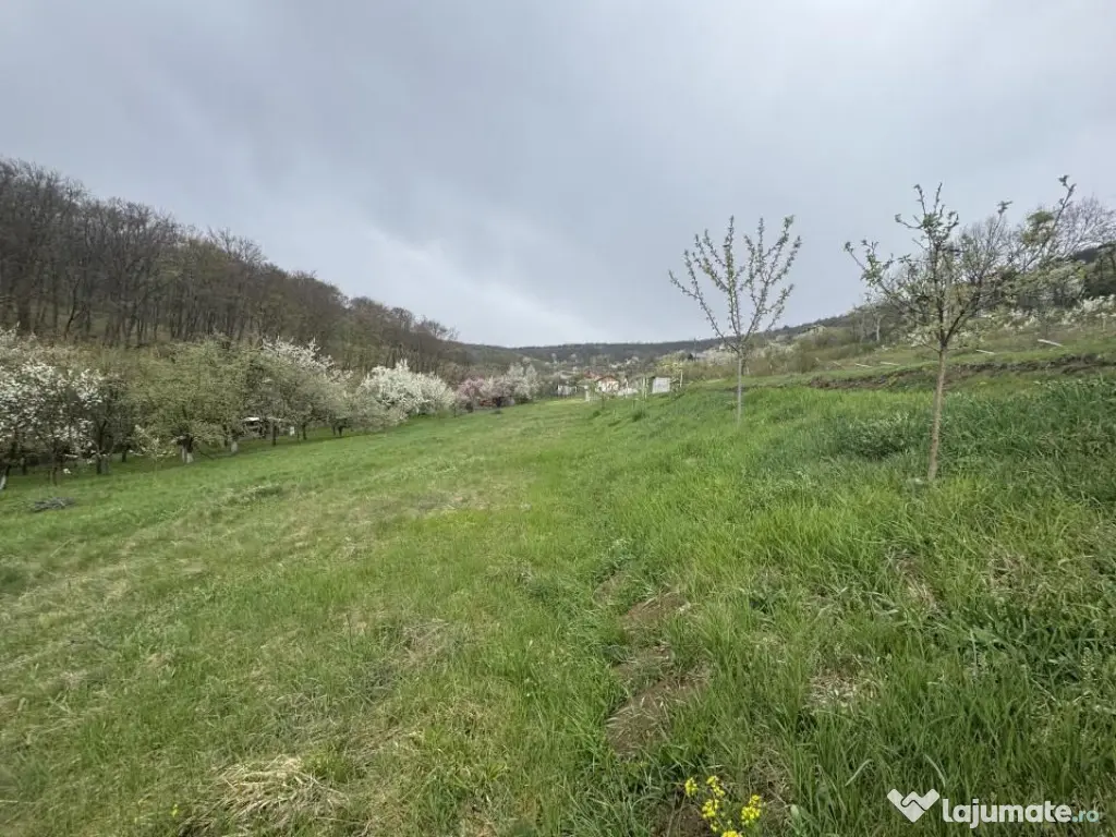 Teren intravilan Deva- Roci