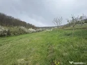 Teren intravilan Deva- Roci