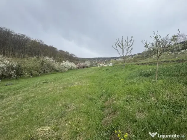 Teren intravilan Deva- Roci