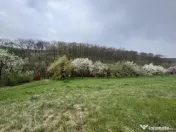 Teren intravilan Deva- Roci