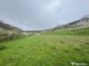 Teren intravilan Deva- Roci