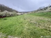 Teren intravilan Deva- Roci