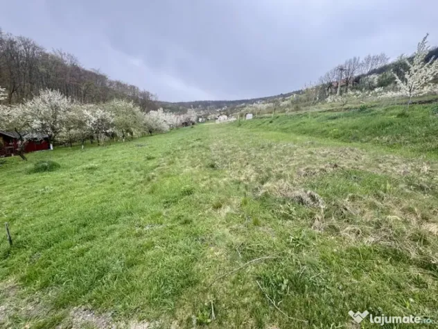 Teren intravilan Deva- Roci