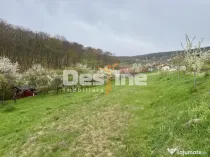 Teren intravilan Deva- Roci
