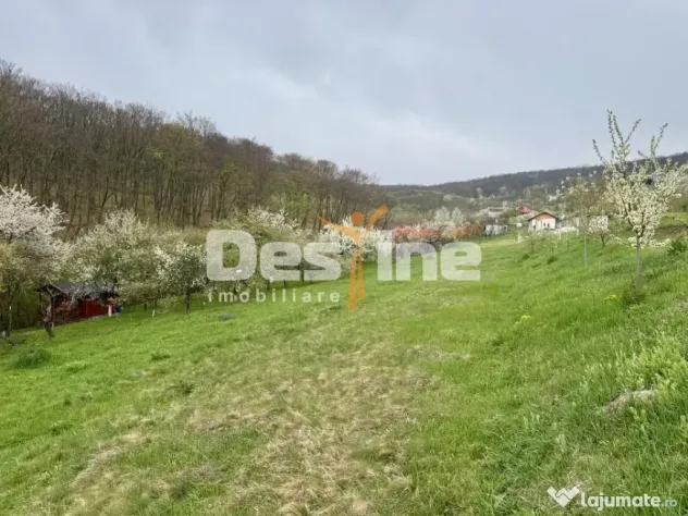 Teren intravilan Deva- Roci - Deva (Hunedoara)