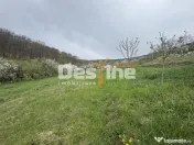 Teren intravilan Deva- Roci