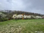 Teren intravilan Deva- Roci