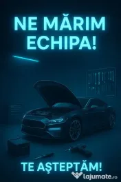 ArtForCars caută AJUTOR în atelier!