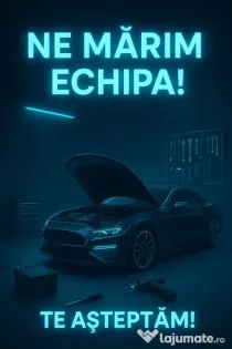 ArtForCars caută AJUTOR în atelier!