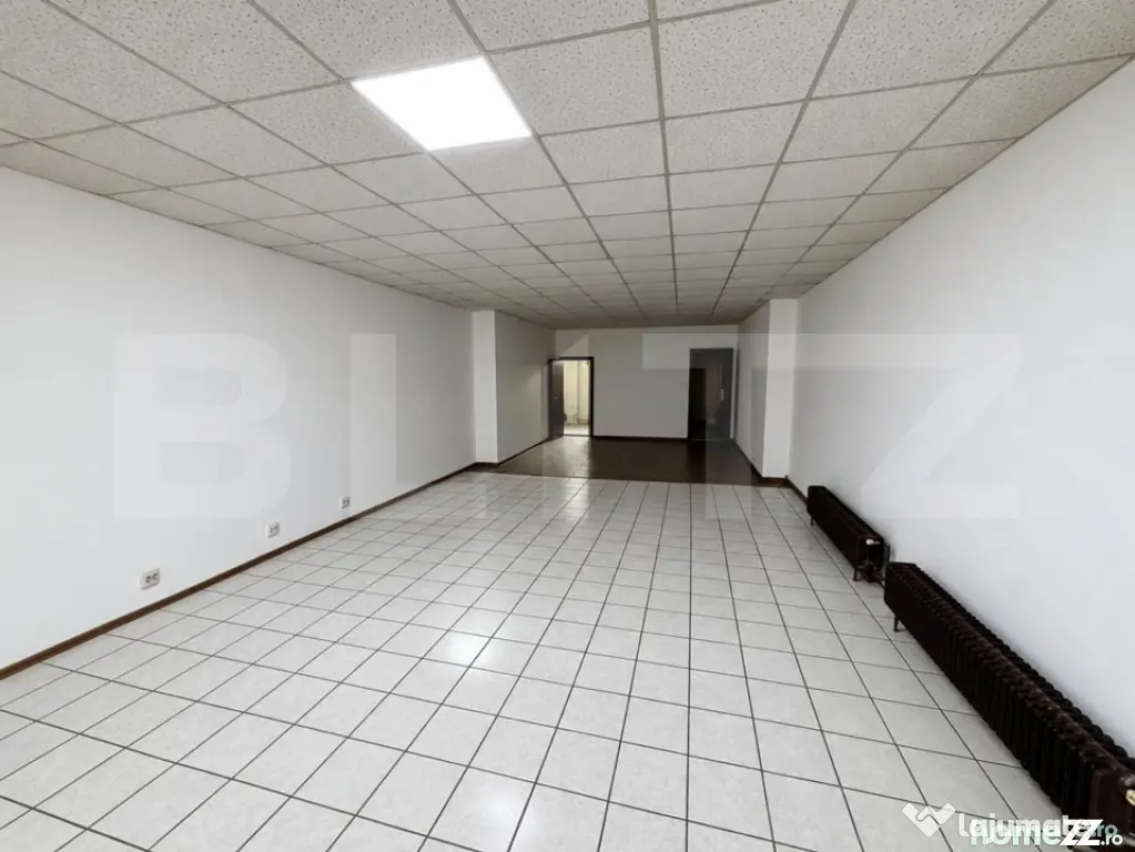 Spațiu comercial, 80 mp, zona Take Ionescu - Timisoara (Timis)