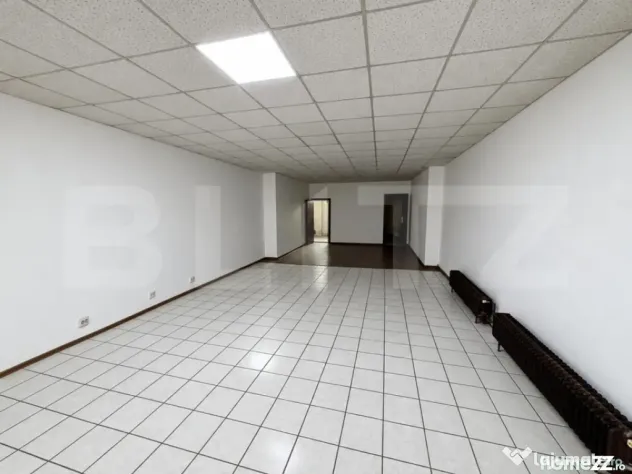 Spațiu comercial, 80 mp, zona Take Ionescu - Timisoara (Timis)