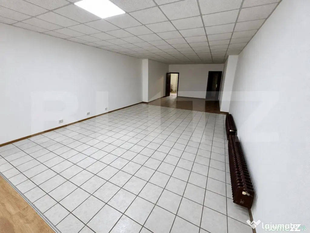 Spațiu comercial, 80 mp, zona Take Ionescu - Timisoara (Timis)