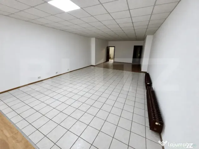 Spațiu comercial, 80 mp, zona Take Ionescu - Timisoara (Timis)