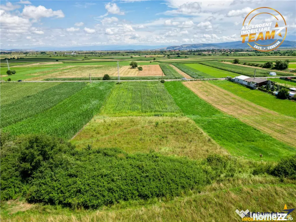 Oportunitate de investitie, PUZ aprobat: zona servicii