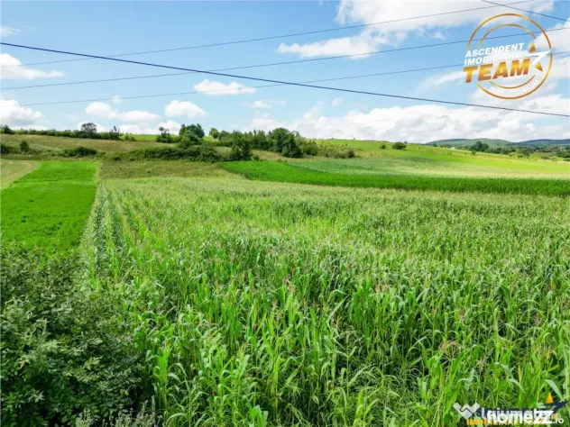 Oportunitate de investitie, PUZ aprobat: zona servicii