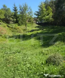 Teren intravilan de vanzare, 900 mp, zona Sadova