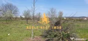 TEREN INTRAVILAN 500 mp – MĂRĂCINENI, ARGEȘ