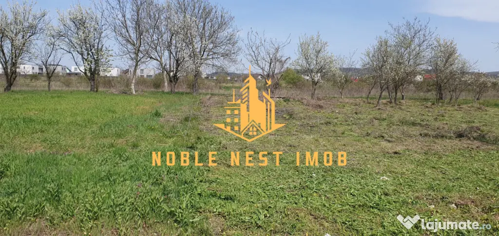 TEREN INTRAVILAN 500 mp – MĂRĂCINENI, ARGEȘ