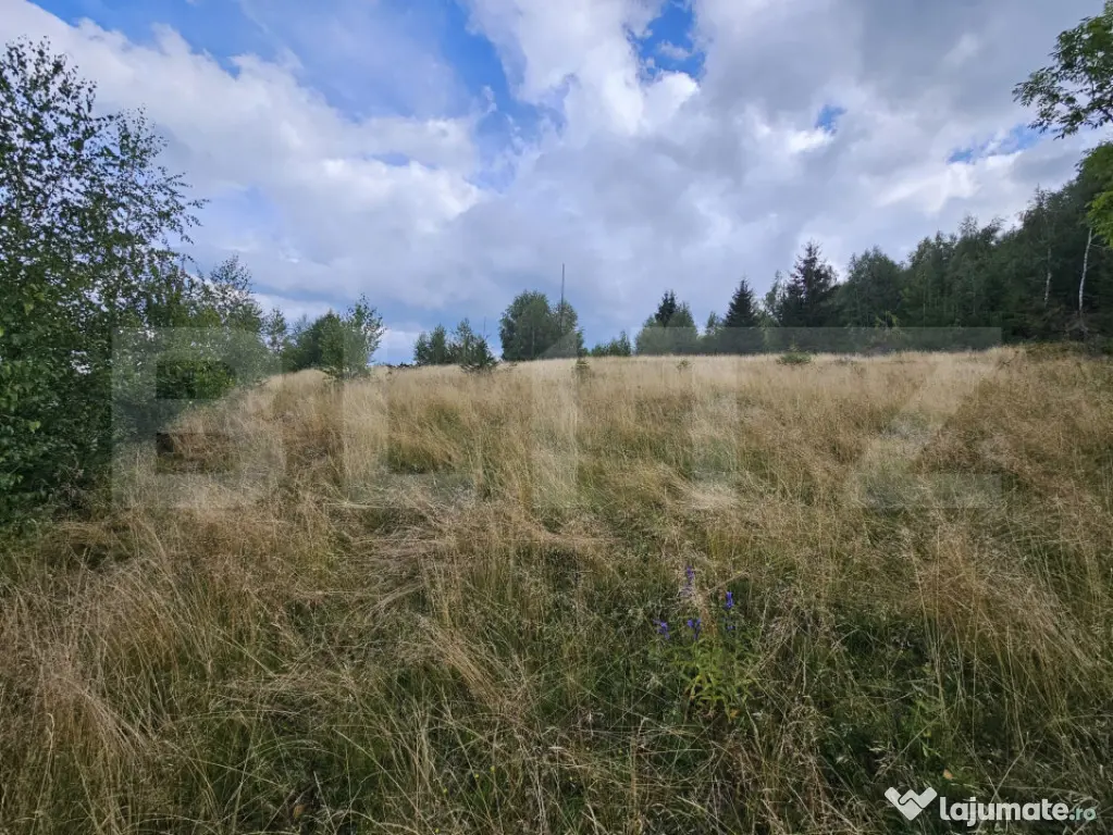 Teren intravilan 5.271 mp cu priveliște spectaculoasă –