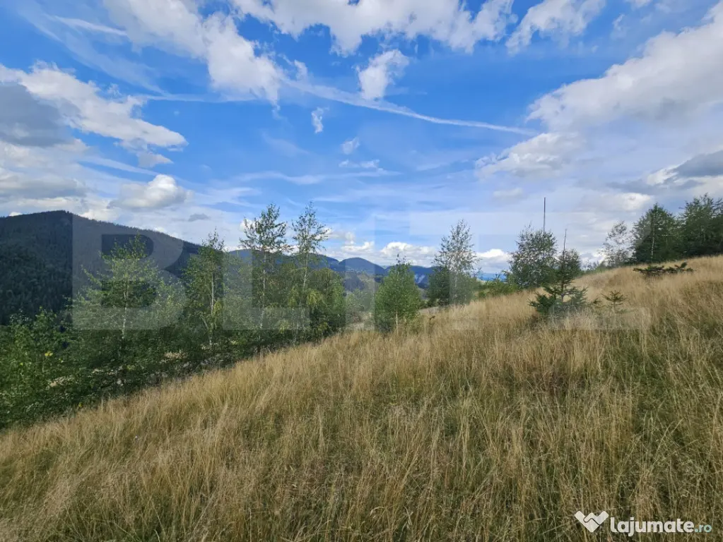 Teren intravilan 5.271 mp cu priveliște spectaculoasă –