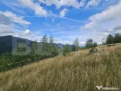 Teren intravilan 5.271 mp cu priveliște spectaculoasă – 