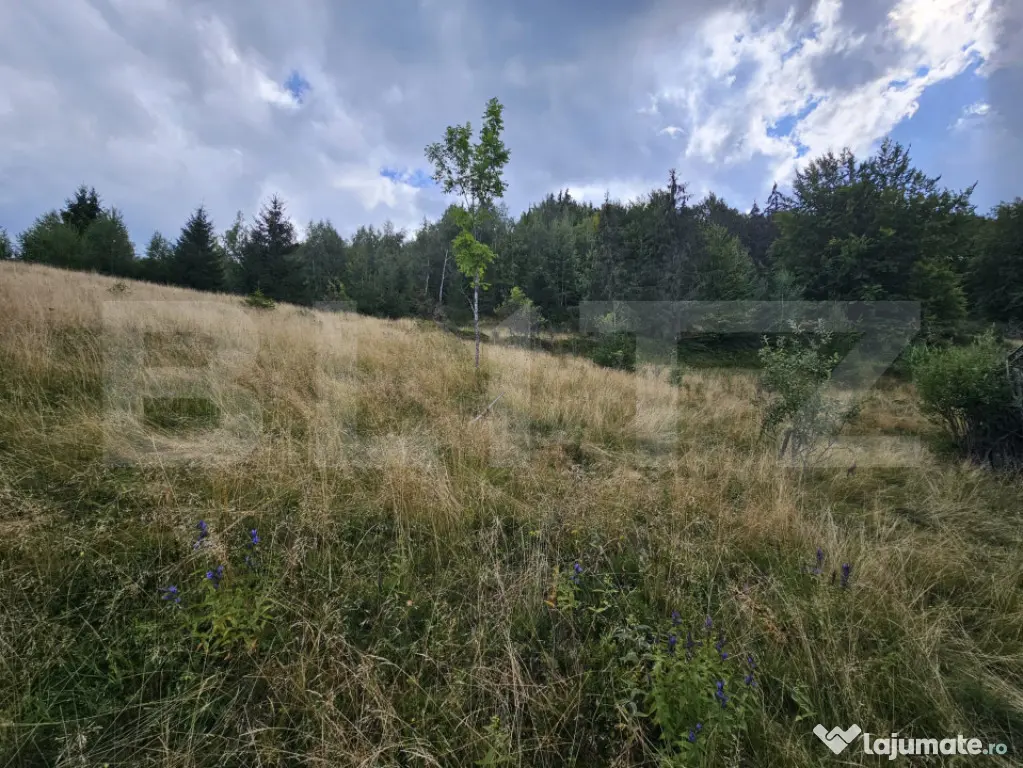 Teren intravilan 5.271 mp cu priveliște spectaculoasă –