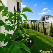 Casa la pret de apartament, curte individuala, terasa, toate 