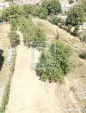 Casa 3 camere, beci ,teren 610 mp + grădină 620 mp-Loc.... 