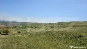Teren extravilan 6 ha, Stejeris com Moldovenesti 