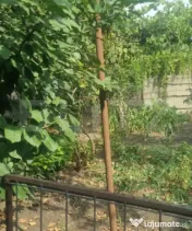 CASA CU 2 CAMERE CURTE SI GRADINA 