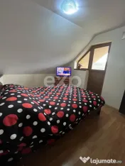 Casa 3 camere 2 bai P+M teren 1732 mp Garleni Dambovita 