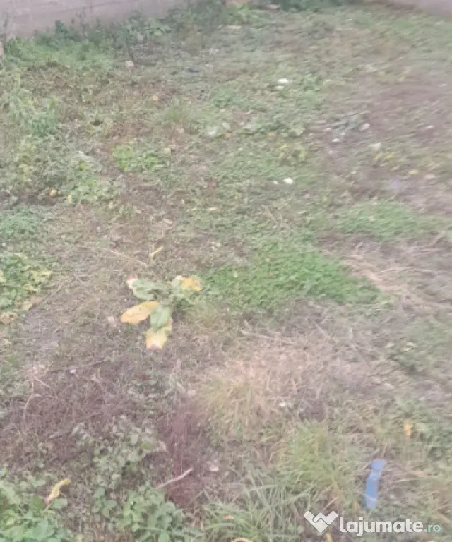 Casa individuala 17 incaperi 257 mp utili zona Someseni - Cluj-Napoca (Cluj)