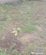 Casa individuala 17 incaperi 257 mp utili zona Someseni 