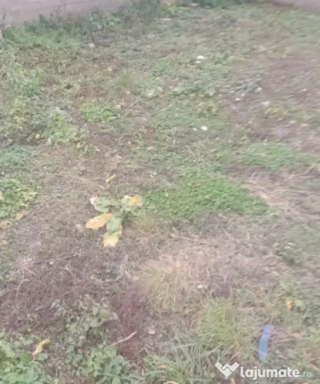 Casa individuala 17 incaperi 257 mp utili zona Someseni - Cluj-Napoca (Cluj)