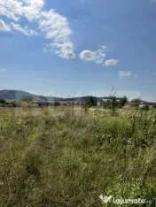 Teren intravilan de vânzare – Unirea, zona Viile cu Pomi 