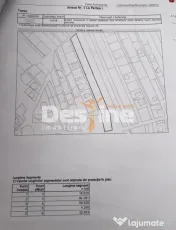 TEREN INTRAVILAN 4016 MP DANCU, COM. HOLBOCA, 2 FRONTURI ... 