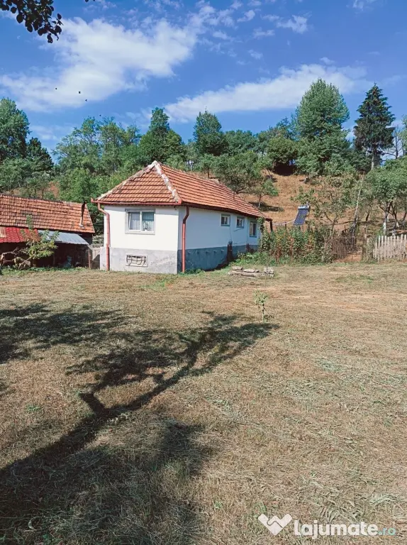 Casă și teren de vânzare Paroșeni HD