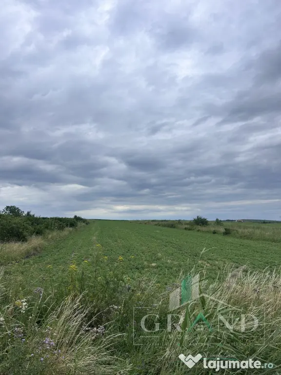 Teren intravilan 5.700 mp | Copăceni, Cluj | DN1 | - Copaceni (Cluj)