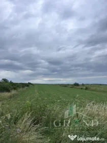 Teren intravilan 5.700 mp | Copăceni, Cluj | DN1 |