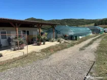 Teren cu sere de vânzare în Ceuașu de Câmpie!