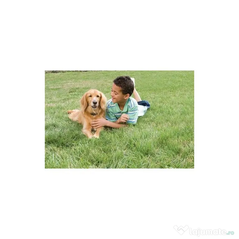 Perimetru electronic PETSAFE pentru caini de talie mica