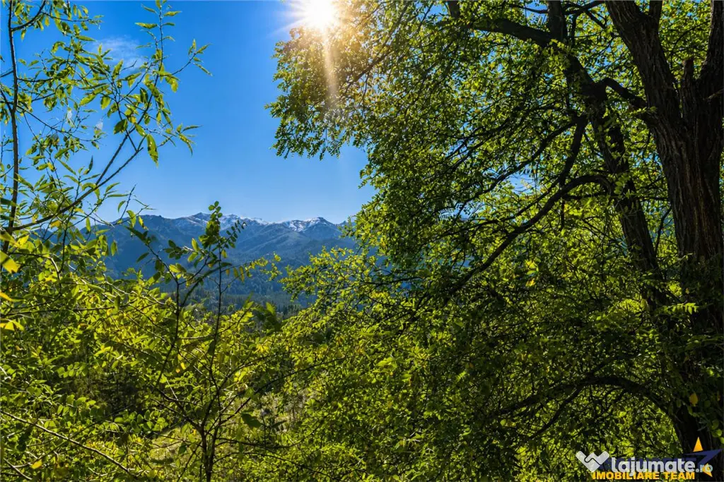 Liniste, natura, priveliste, aer de vacanta, intimitate, pot - Brasov (Brasov)