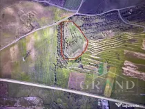 Teren cu suprafata 9100mp, zona Sub Coastă, Cluj-Napoca