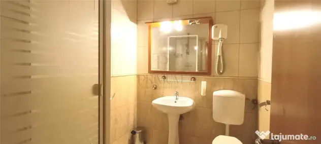 Apartament 1 camera mobilat - Blacescu - Complexul Studentes - Timisoara (Timis)